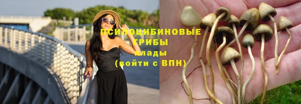 каннабис Алексеевка