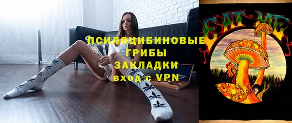 молекула духа Алексин