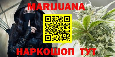 стаф Новодвинск