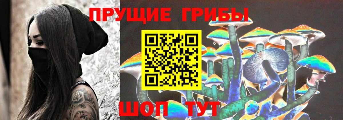 Галлюциногенные грибы Magic Shrooms  Вход с VPN  Псилоцибиновые грибы прущие грибы  Химки 