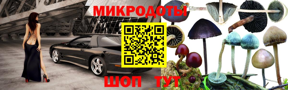 Галлюциногенные грибы Psilocybe Химки